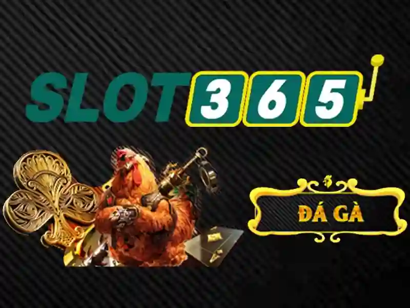 Trải Nghiệm Slot365