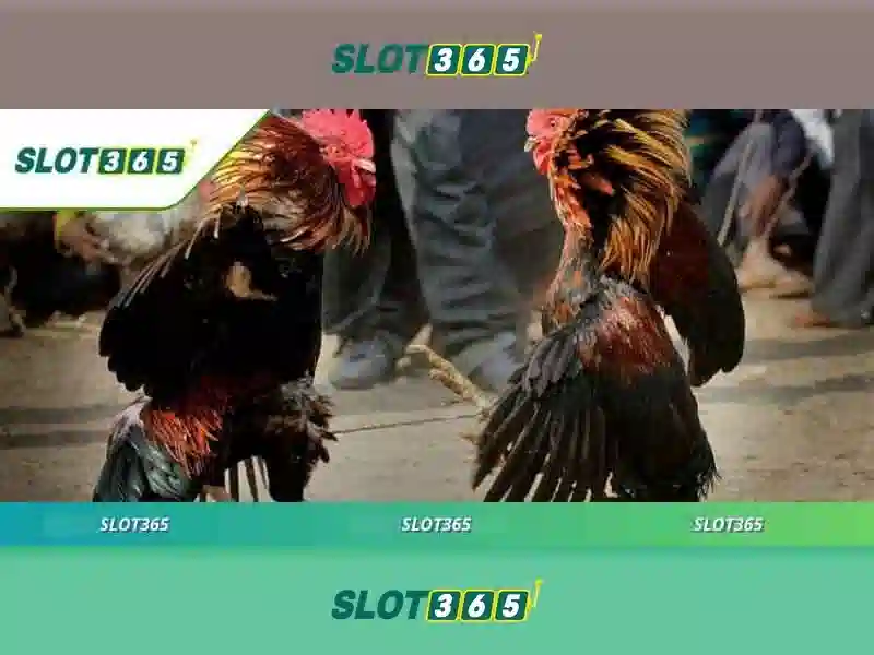 slot365 là gì