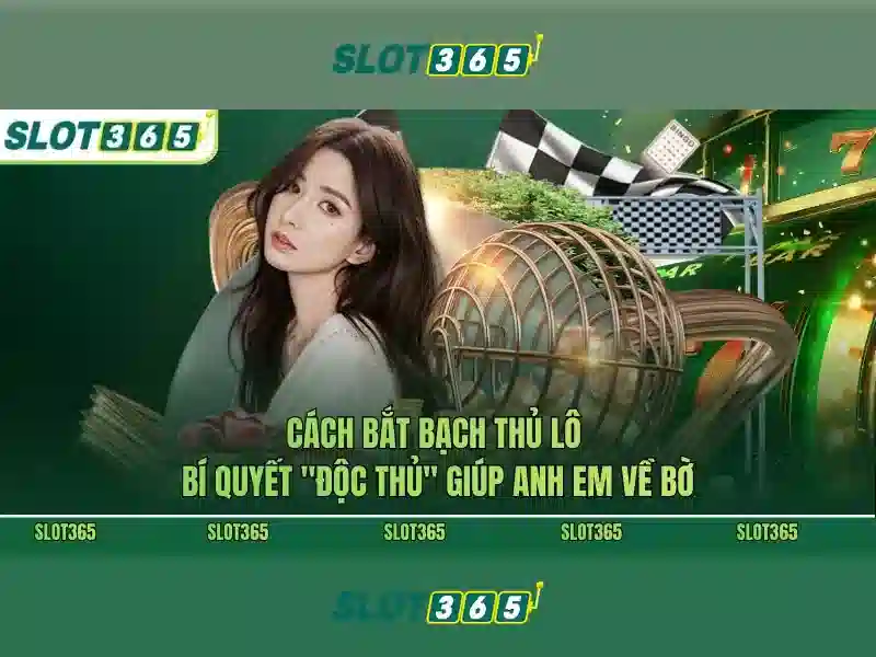 slot365 login