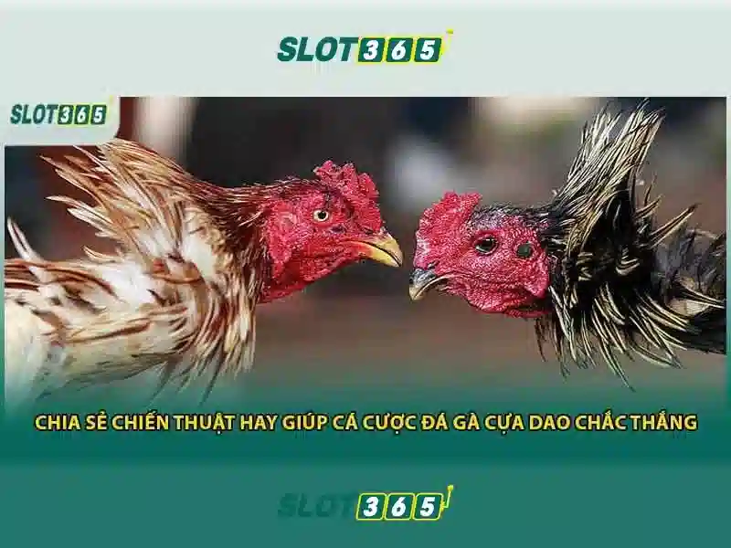 Tính Năng Nổi Bật Của Game Bài Slot365