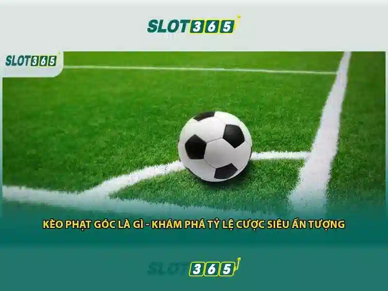 trải nghiệm cá cược Slot365