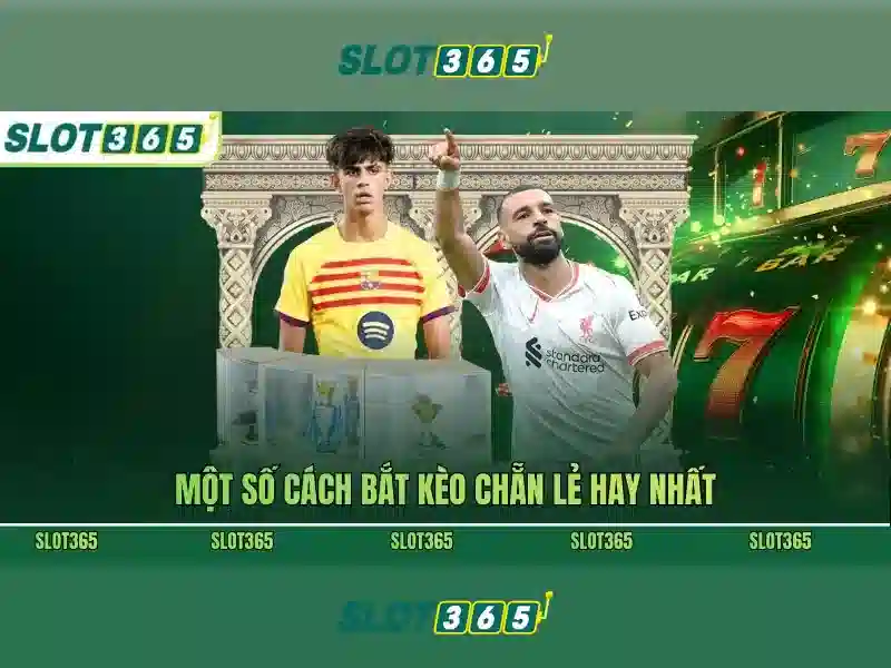 Giới Thiệu Về SLOT365