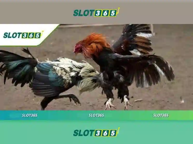 SLOT365