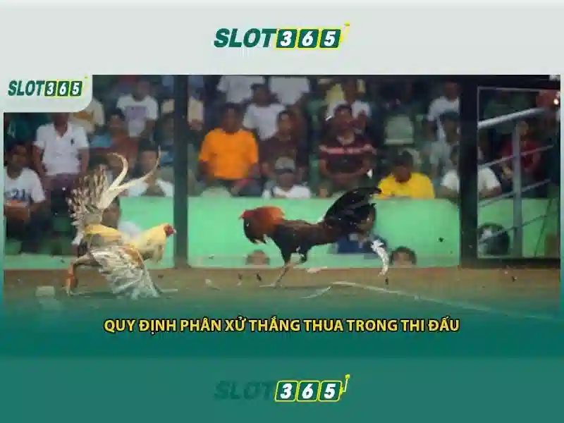 Ưu điểm Slot365