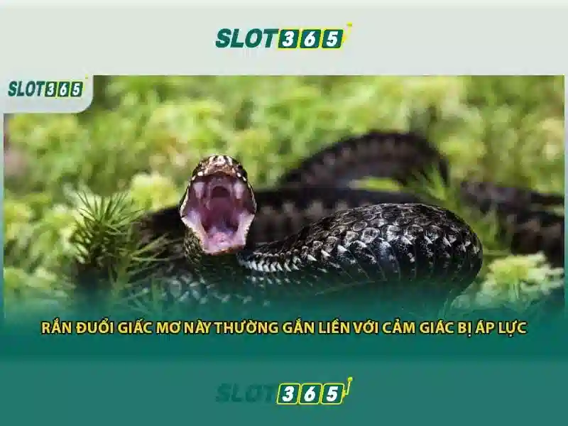 Trò Chơi Slot Tại SLOT365