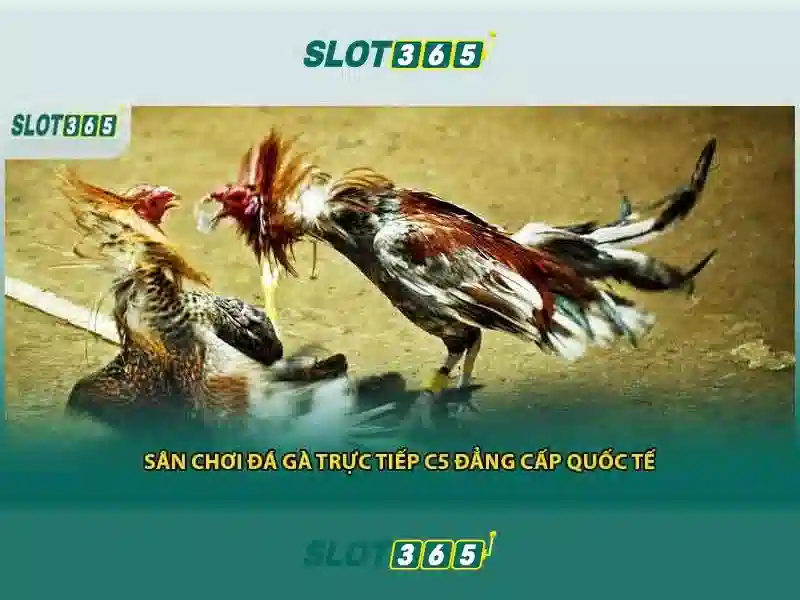 trò chơi Slot365