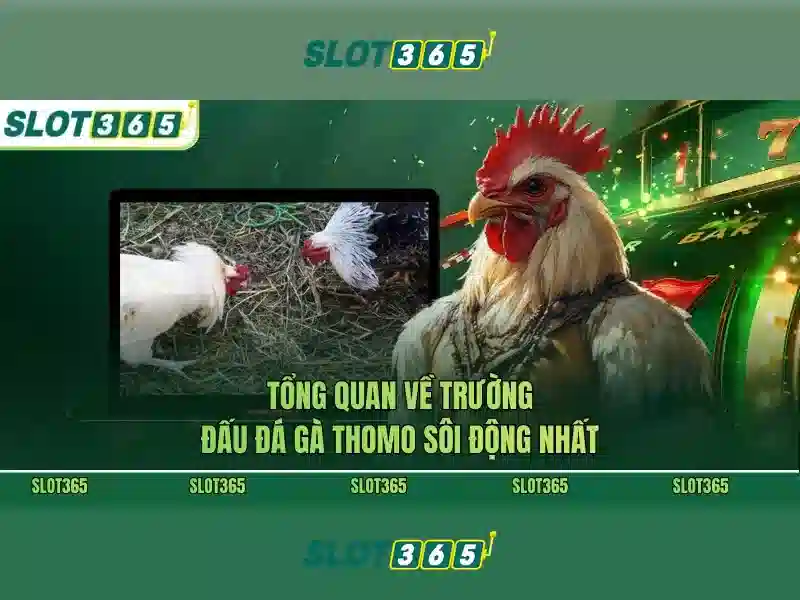 Nhận Thưởng Slot365