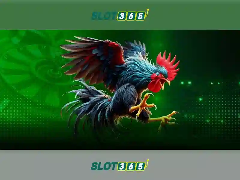 chương trình thưởng SLOT365