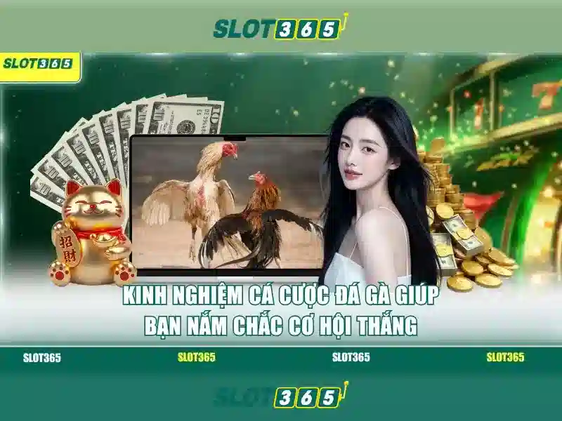 Tải App Slot365