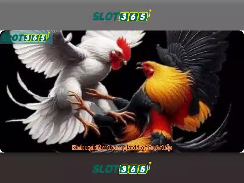 SLOT365 – Trải Nghiệm Đỉnh Cao Cho Người Chơi Slot365