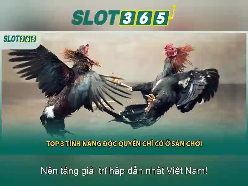 Ưu điểm RTP Slot365