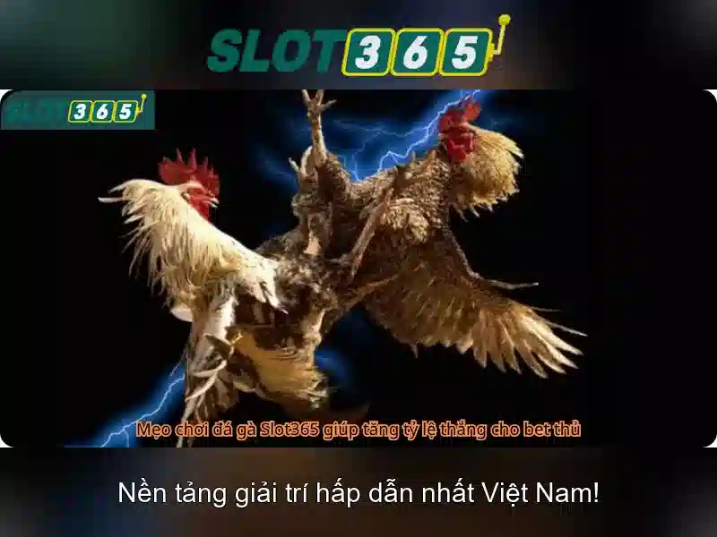 Đặc Điểm Nổi Bật Của SLOT365
