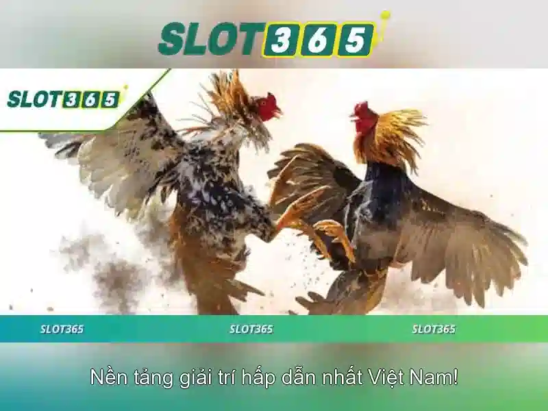 Giới Thiệu Về Slot365