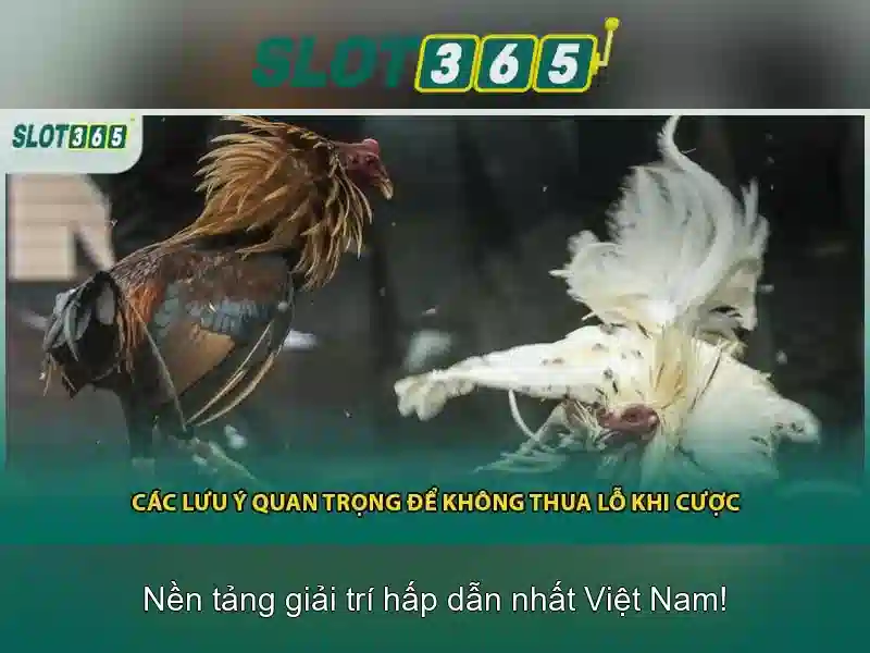 phiên bản mới Slot365