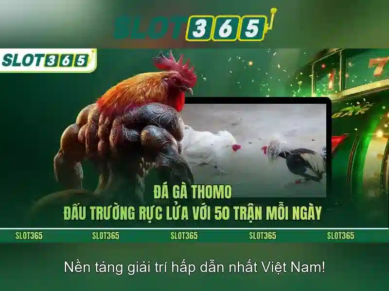 Ưu Đãi Slot365