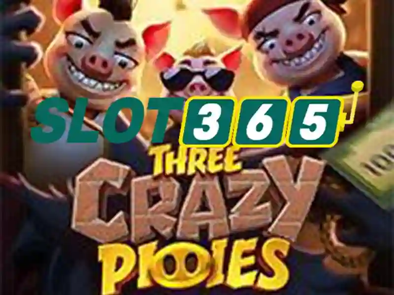 code Slot365 mới nhất